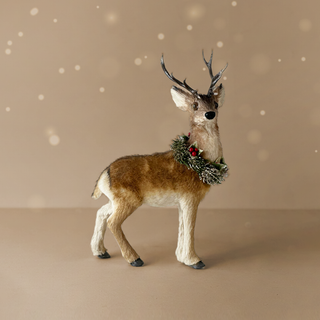 Fawn and Fern Baby Deer