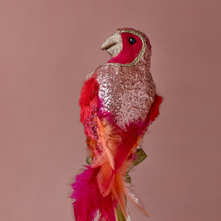 ROSY RADIANCE