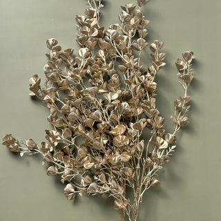 Eucalyptus Glow (Set of 2)