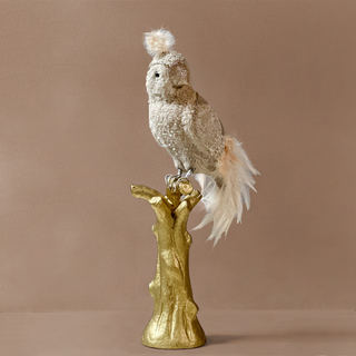 WHIMSY WREN