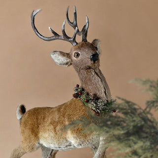 Everest the deer