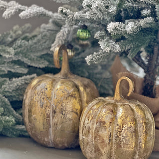 Whimsical Pumpkins