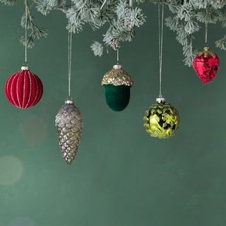 Holiday Nature Ornaments (Set of 5)