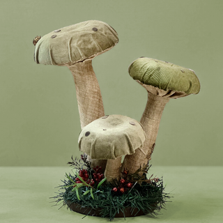 Enchanted Woodland Mushroom Trio