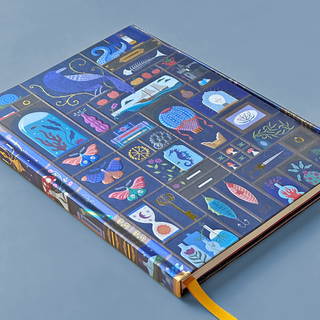 Curiosity Cabinet Hardcover Journal