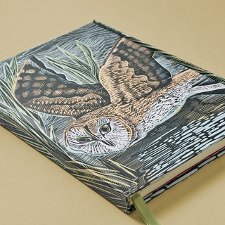 Midnight Flight: Barn Owl Journal